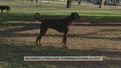 Cani aggressivi, la storia di Sonia: "Un dobermann mi ha morso alla testa"