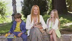 Puntata del 3 novembre