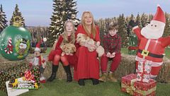 Puntata del 22 dicembre