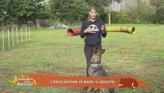 L'educazione di base: il seduto