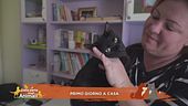 Adozione: l'emozione di una vita per sempre insieme