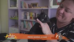 Adozione: l'emozione di una vita per sempre insieme