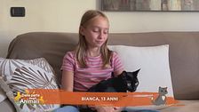 Le domande dei bambini