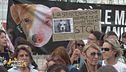 Manifestazione contro la sperimentazione animale