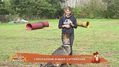 Impariamo divertendoci