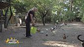 La storia di Otto: una vita dedicata agli animali