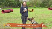 Impariamo divertendoci