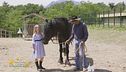 Un cavallo per amico