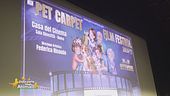 Il Pet Carpet Film Festival