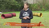 Impariamo divertendoci
