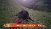 La nuova famiglia di Achille