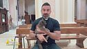 Il gatto