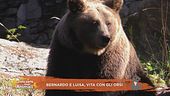 Bernardo e Luisa, vita con gli orsi