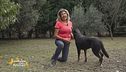 I cani di Anna, un'associazione di Lucca