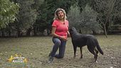I cani di Anna, un'associazione di Lucca