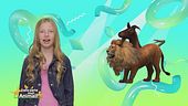 Stella's world