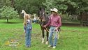 Un cavallo per amico con Freccia e Stefano