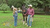 Un cavallo per amico con Freccia e Stefano