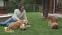 Stella e Toy, i figli pelosi di: Luca Toni