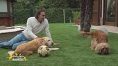 Stella e Toy, i figli pelosi di: Luca Toni