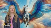 Stella's World: la storia di Pegaso