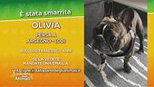 Ritroviamo Olivia