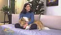 Casa pulita anche con il pet