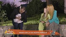 Weiss sta per incontrare la sua nuova famiglia