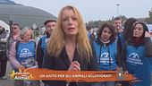 Un aiuto per gli animali alluvionati