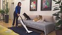 Casa pulita e animali