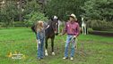 Le razze equine: il cavallo criollo argentino