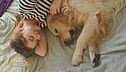 Come prendersi cura del proprio animale domestico