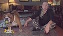 Rocky, Macchia, Bice e Milva, i figli pelosi di: Barbara De Rossi