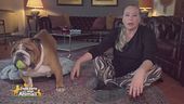 Rocky, Macchia, Bice e Milva, i figli pelosi di: Barbara De Rossi
