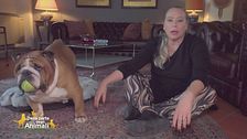 Rocky, Macchia, Bice e Milva, i figli pelosi di: Barbara De Rossi