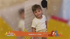 Perchè i piccioni camminano così?