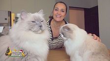 Gli amori pelosi di Roberta Capua