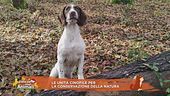 Le unità cinofile per la conservazione della natura