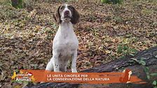 Le unità cinofile per la conservazione della natura