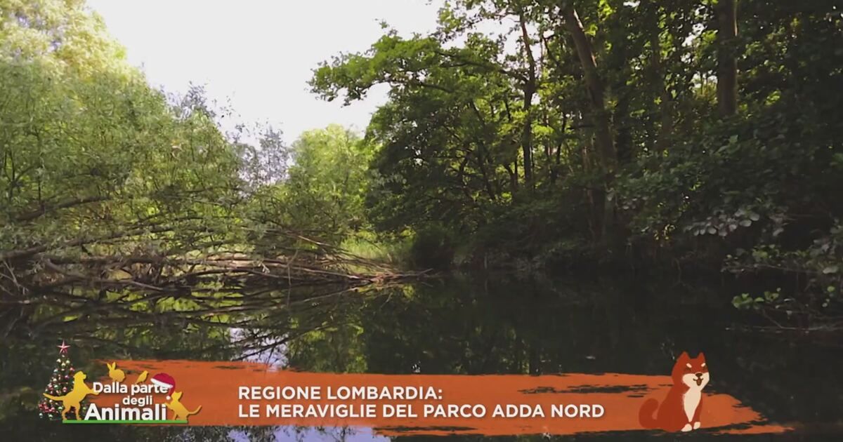 Dalla parte degli animali: Regione Lombardia: le meraviglie del Parco ...