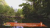 Regione Lombardia: le meraviglie del Parco Adda Nord