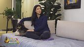 Come mantenere al casa pulita con animali domestici