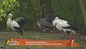Regione Lombardia: le meraviglie del Parco Adda sud