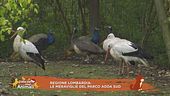 Regione Lombardia: le meraviglie del Parco Adda sud