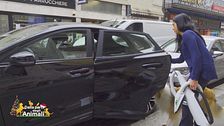 Come mantenere l'automobile pulita