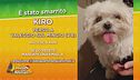 Aiutiamo a ritrovare Kiro