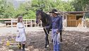 Un cavallo per amico