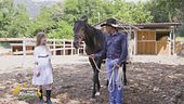 Un cavallo per amico