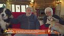 Tutti gli amici pelosi di: Maurizio Mattioli