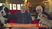 Tutti gli amici pelosi di: Maurizio Mattioli